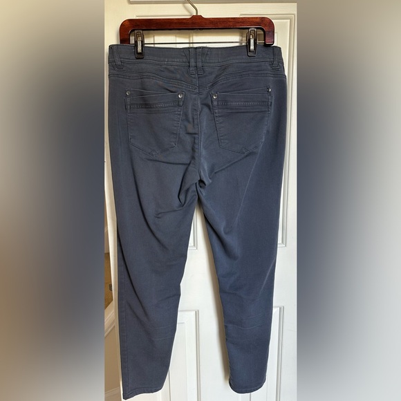 Democracy Gray Skinny Pants - Size 10 - Picture 3 of 8